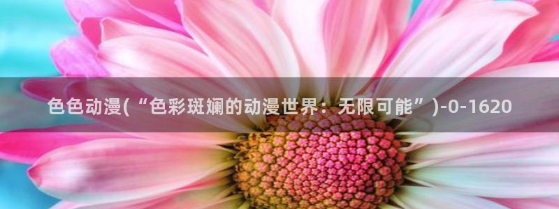 全职高手动漫
