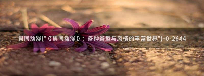 2k动漫