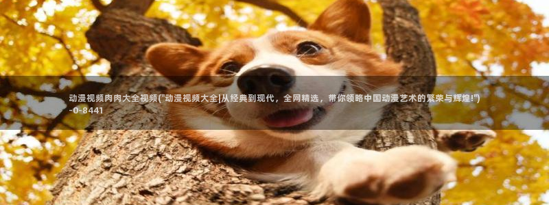 女装正太动漫