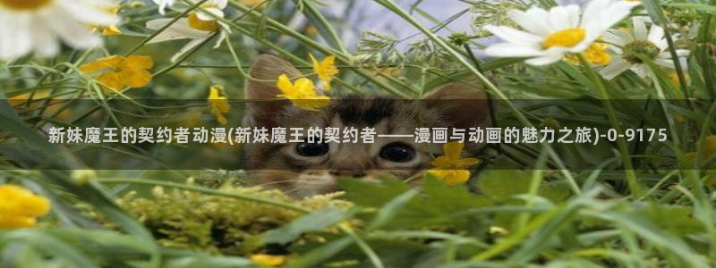 动漫人物