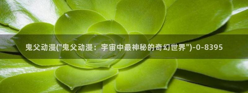 第一动漫