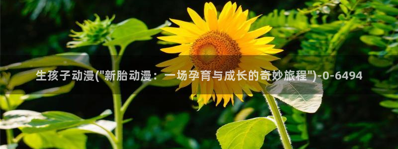 动漫网站