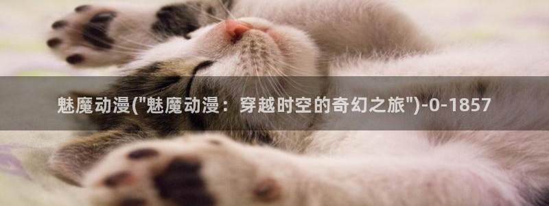 动漫网址