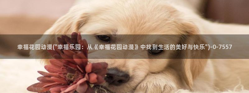 海贼王在线观看全集免费樱花动漫