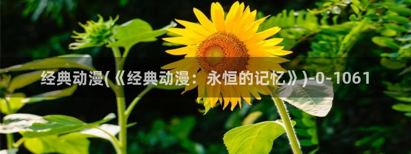 动漫社