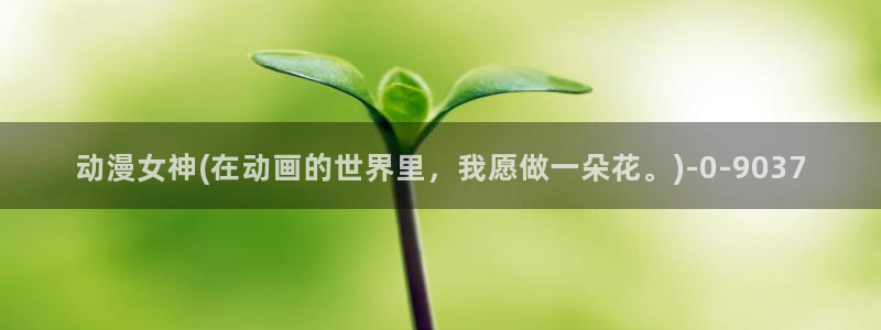 动漫之家