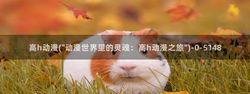 曲奇动漫