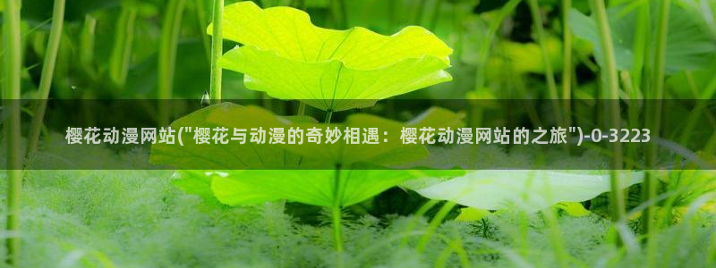 58动漫网